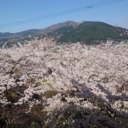 ホテル風の山荘 山城 由布市 エクステリア 写真