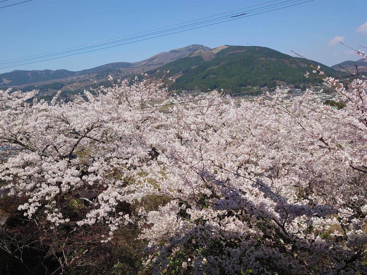 ホテル風の山荘 山城 由布市 エクステリア 写真