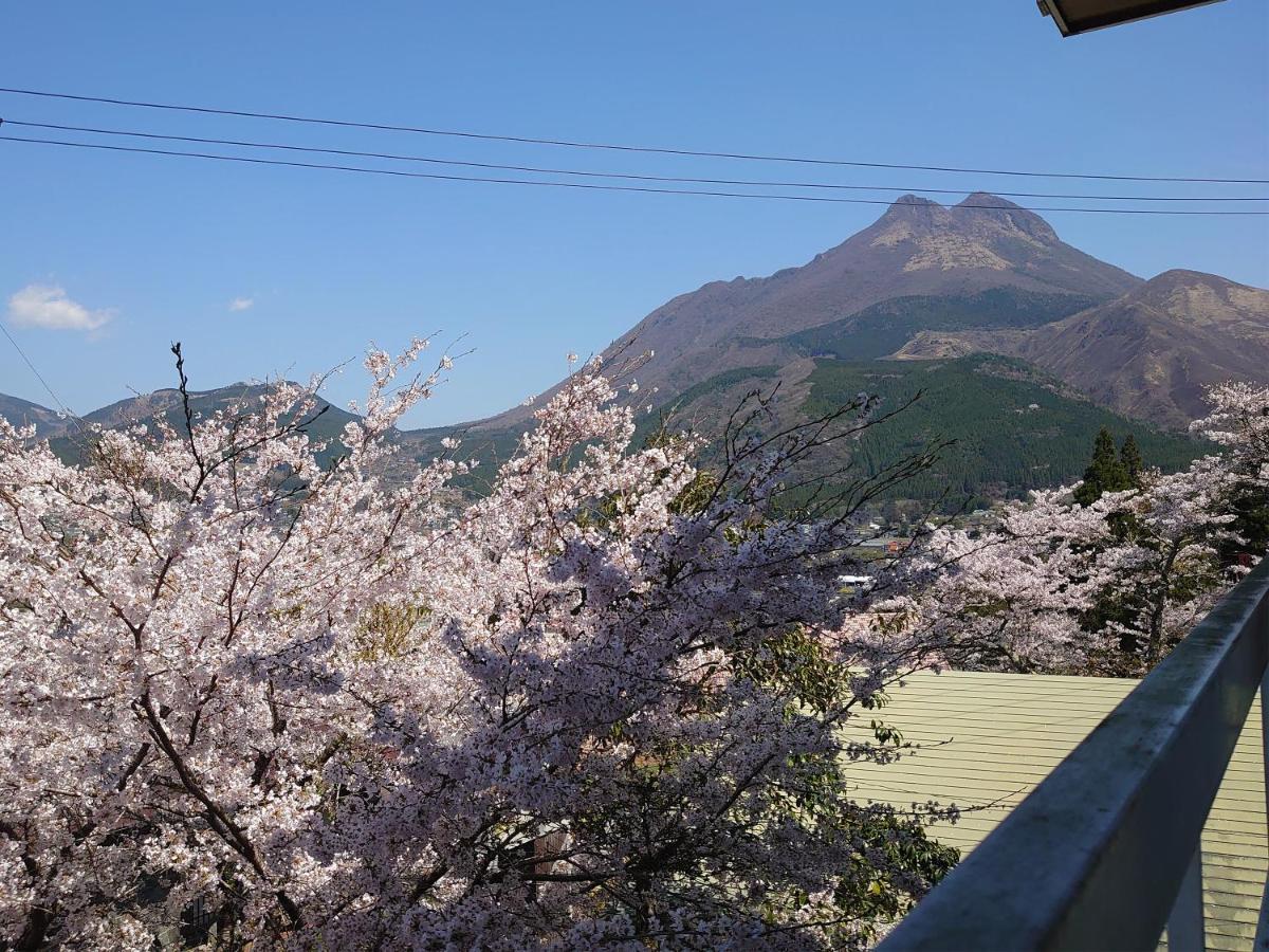 ホテル風の山荘 山城 由布市 エクステリア 写真